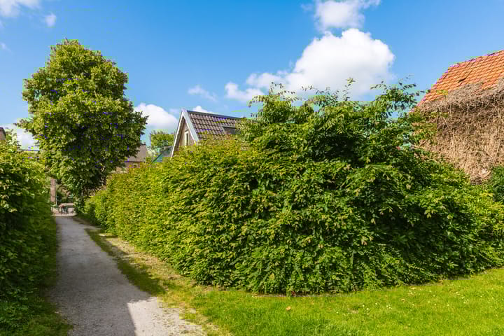 Foto 9 van Kerkewal 9-A