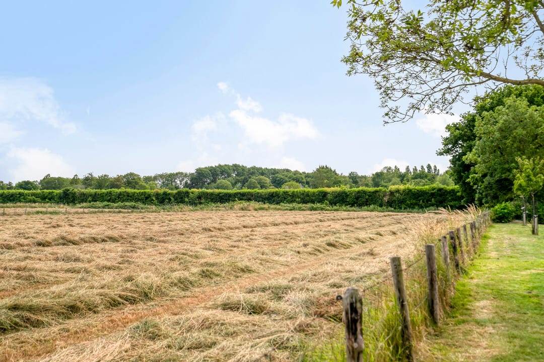 Foto 32 van Vronesteijn 59