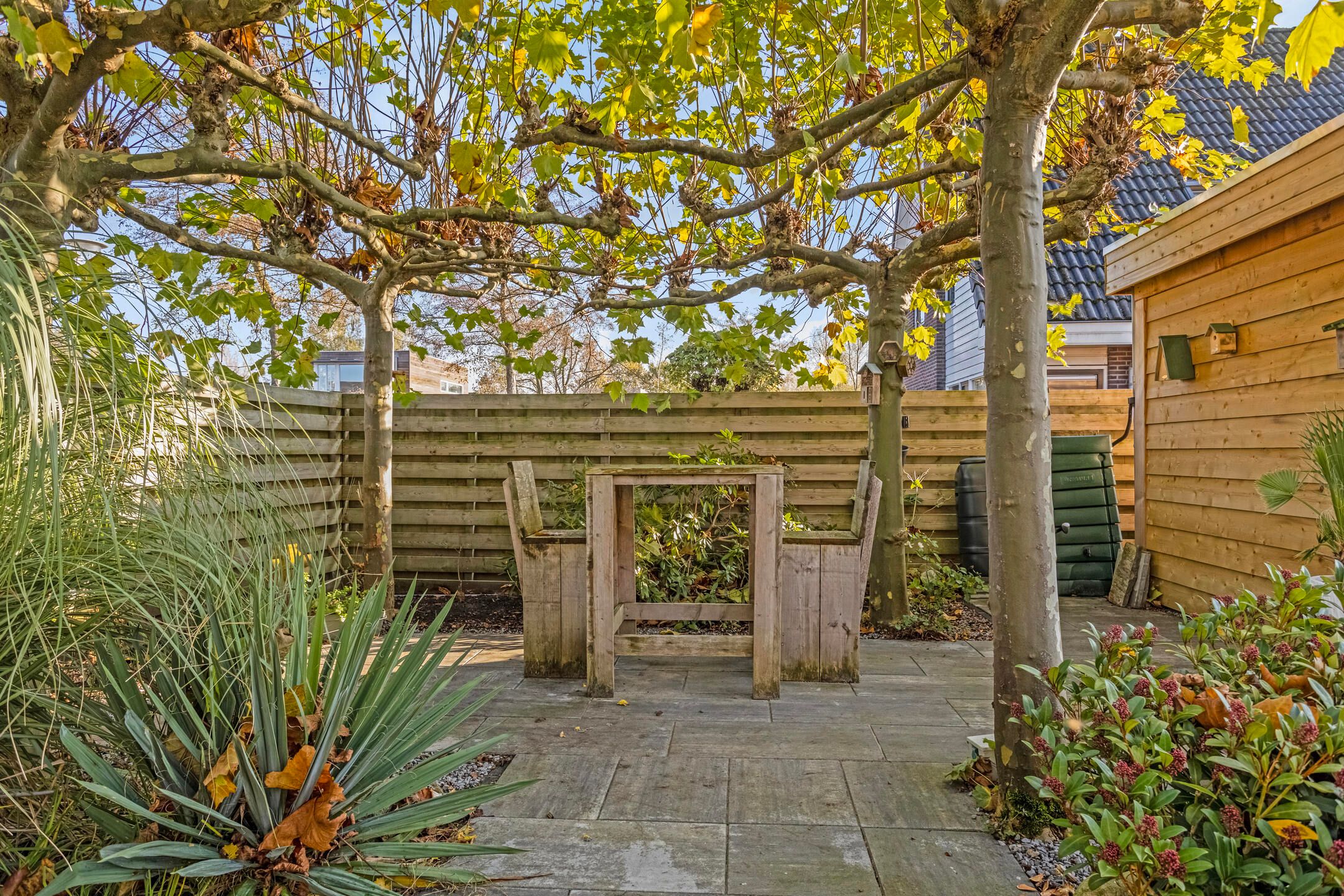 Foto 24 van Biesland 4