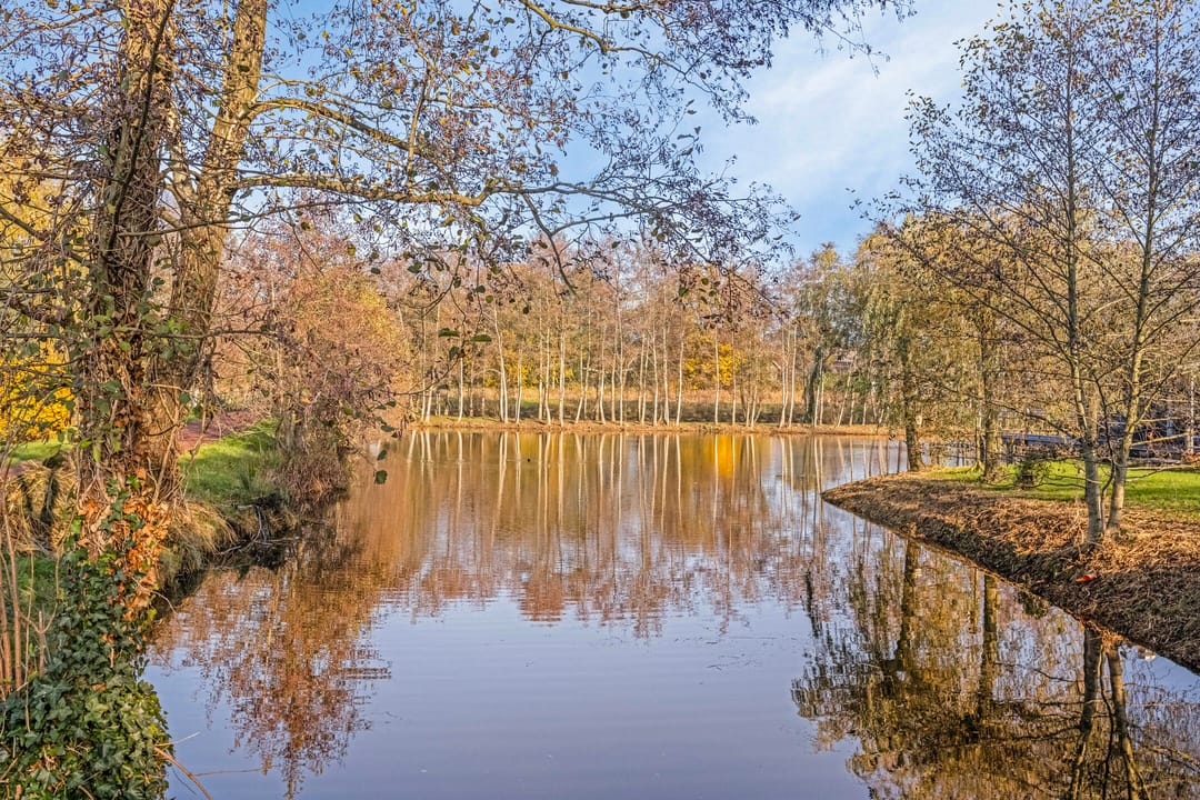 Foto 26 van Biesland 4