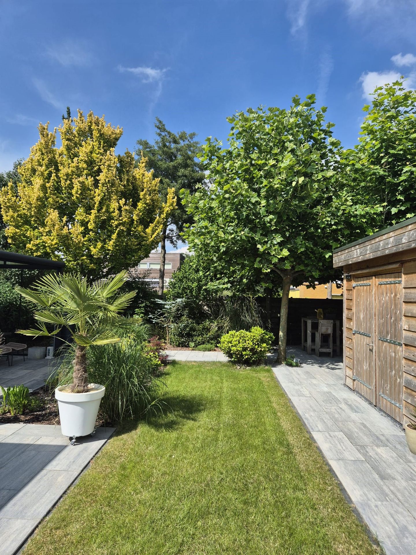 Foto 35 van Biesland 4