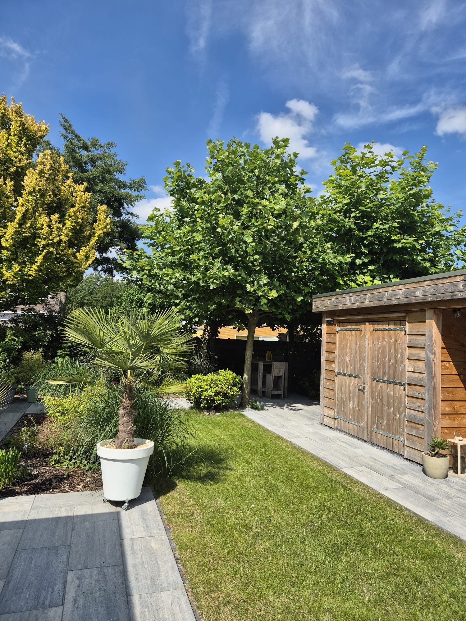 Foto 36 van Biesland 4