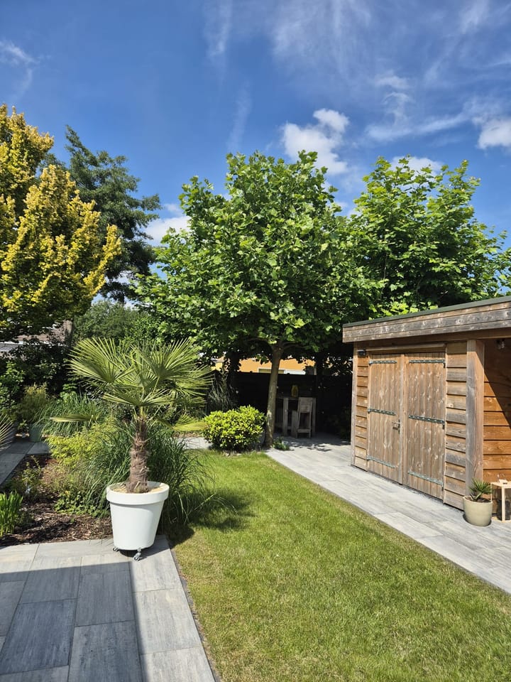 Foto 36 van Biesland 4