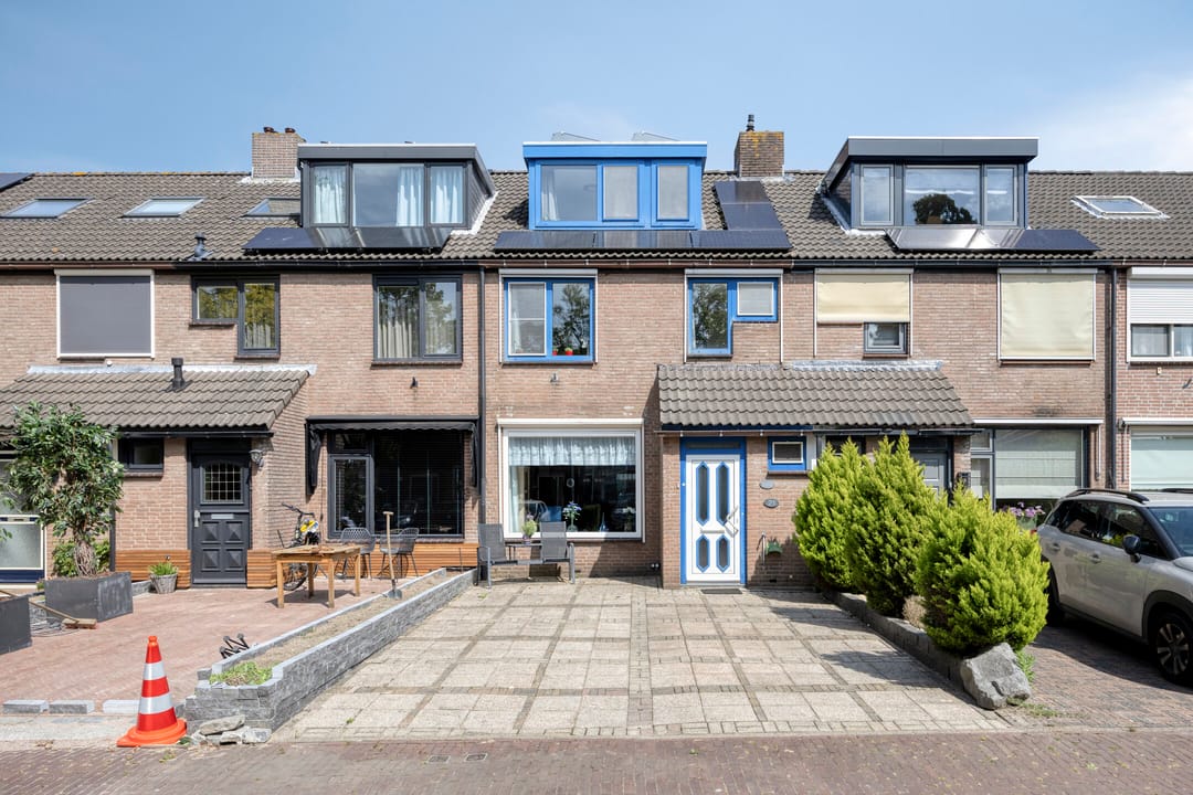 Foto 1 van Anemoon 21