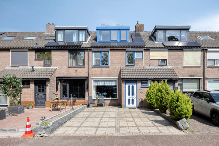 Foto 1 van Anemoon 21