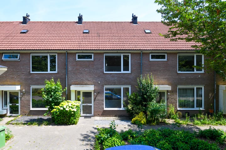 Foto 1 van Fluitekruid 17