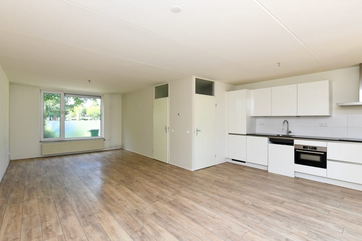 Foto 3 van Fluitekruid 17