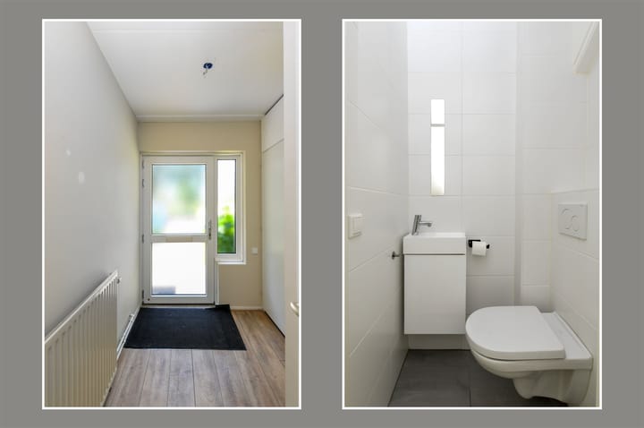 Foto 7 van Fluitekruid 17