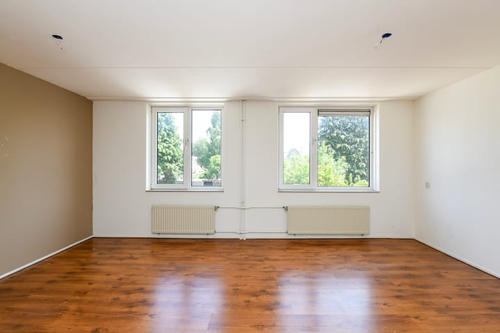 Foto 8 van Fluitekruid 17