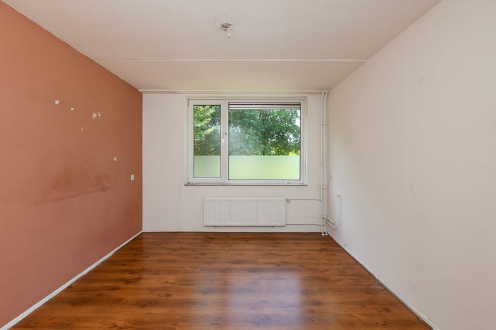 Foto 11 van Fluitekruid 17