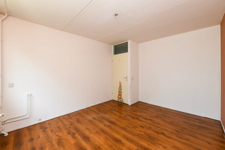 Foto 12 van Fluitekruid 17