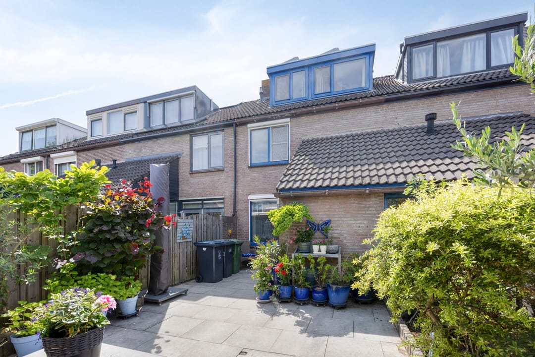 Foto 31 van Anemoon 21