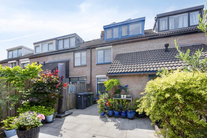 Foto 31 van Anemoon 21