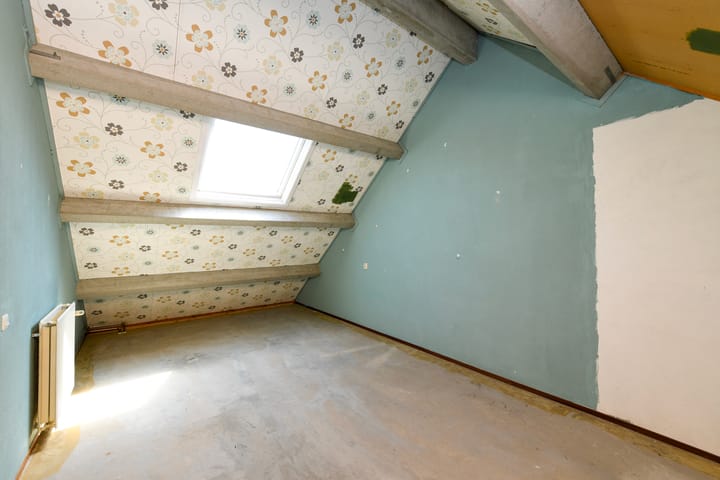 Foto 16 van Fluitekruid 17