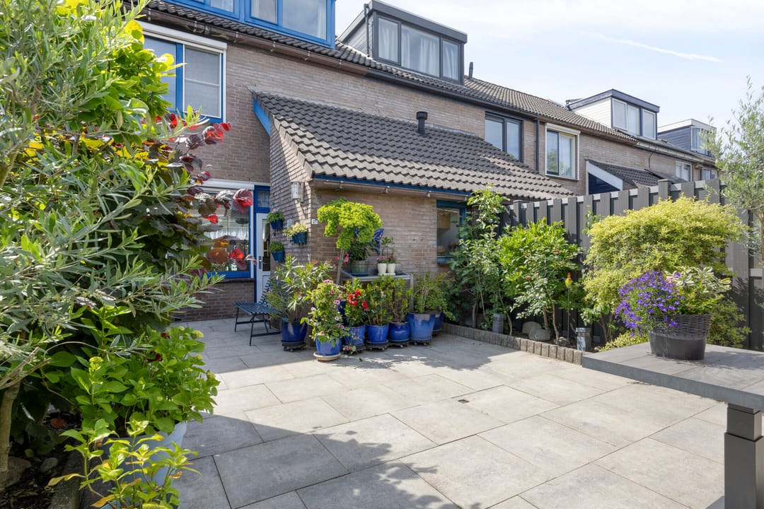 Foto 32 van Anemoon 21