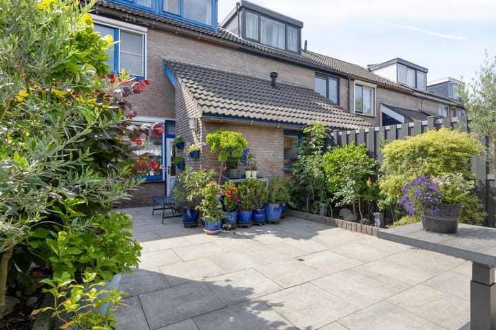 Foto 32 van Anemoon 21