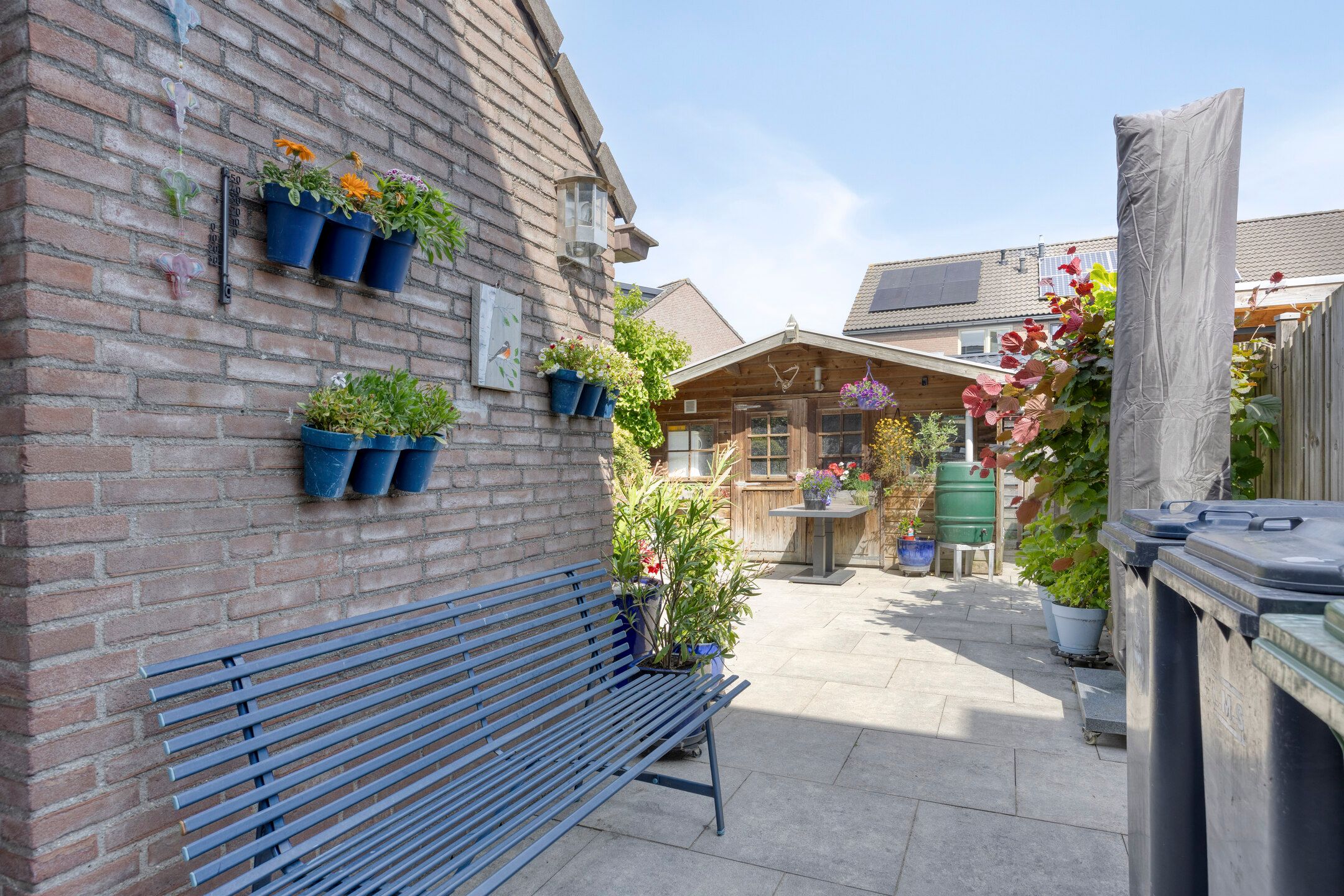 Foto 33 van Anemoon 21