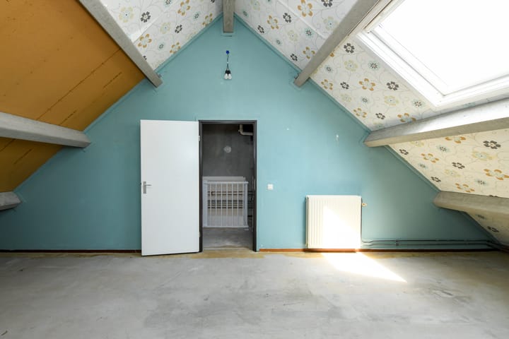 Foto 17 van Fluitekruid 17