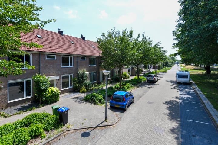 Foto 21 van Fluitekruid 17