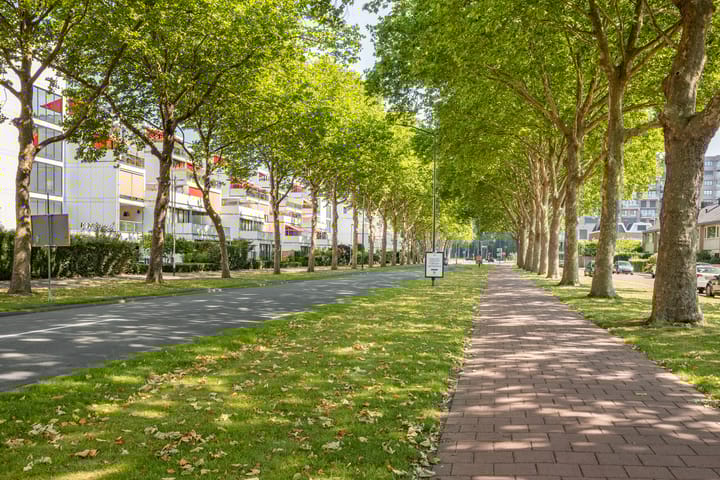 Foto 2 van Doenradestraat 40-C12