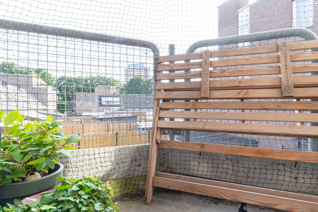 Photo 26 of Maria Koijenhof 5