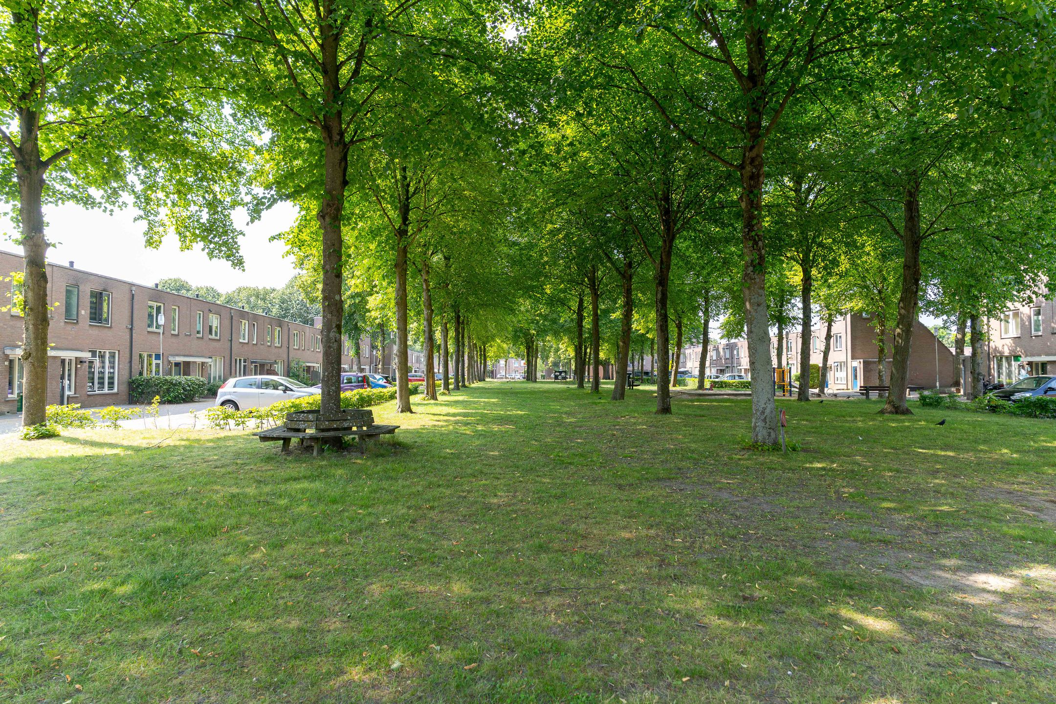 Photo 30 of Maria Koijenhof 5