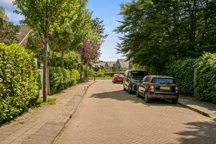 Foto 81 van Theo Snoekstraat 7