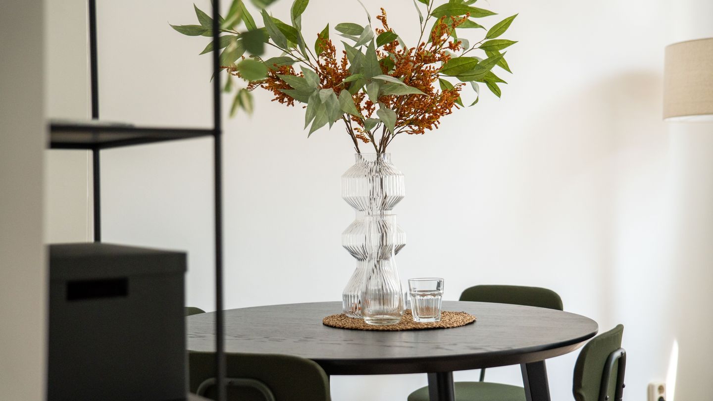 Foto 20 van Van der Werfstraat 47-E