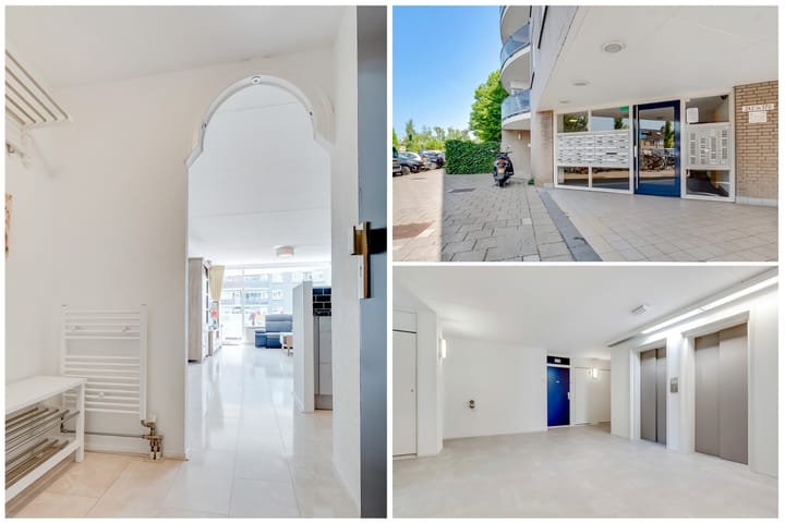 Photo 7 of Zeezigt 288