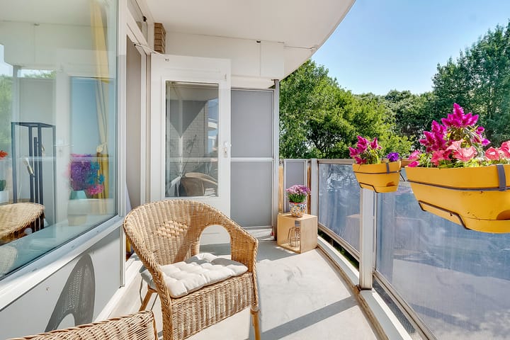 Photo 9 of Zeezigt 288