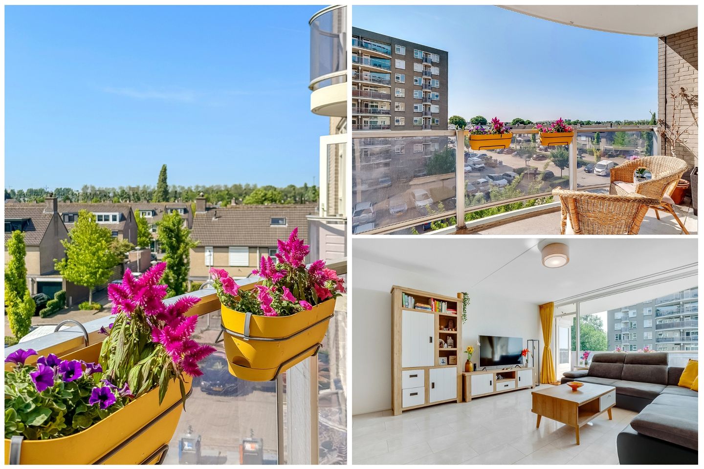 Photo 10 of Zeezigt 288