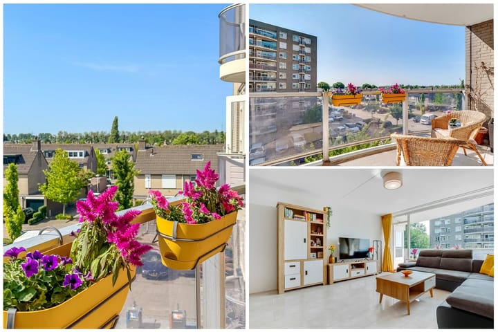 Photo 10 of Zeezigt 288