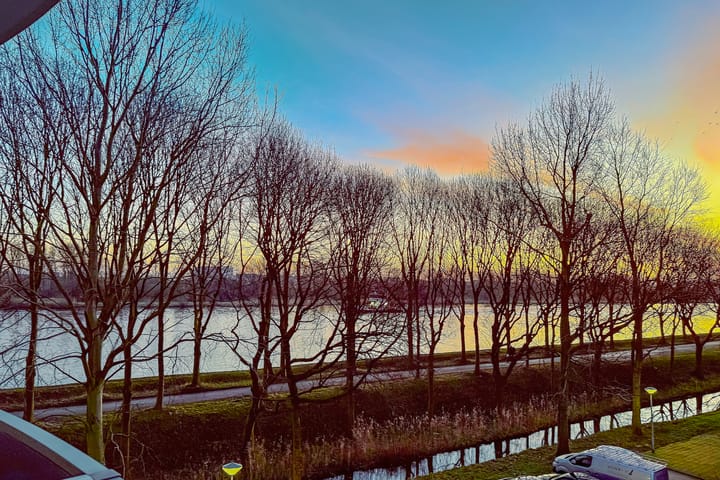 Photo 11 of Zeezigt 288