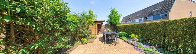 Achtertuin