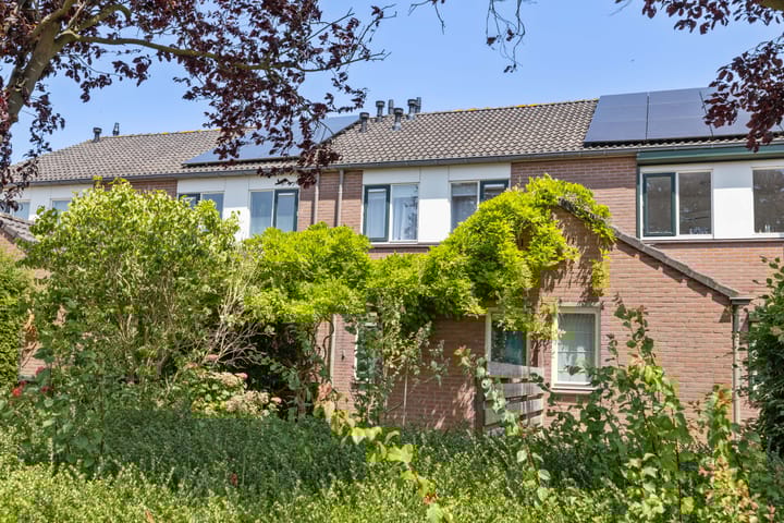 undefined main image