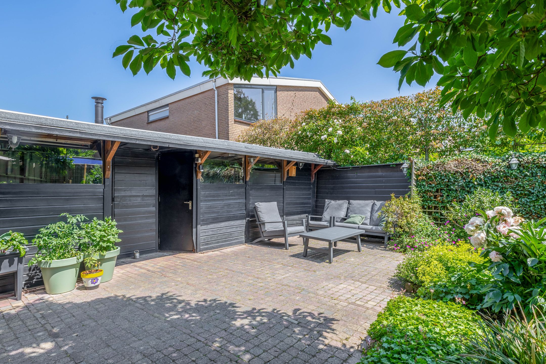 Foto 21 van Watersnip 61