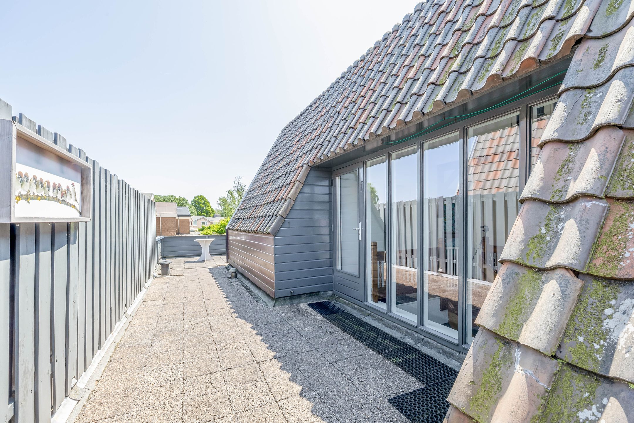 Foto 36 van Watersnip 61