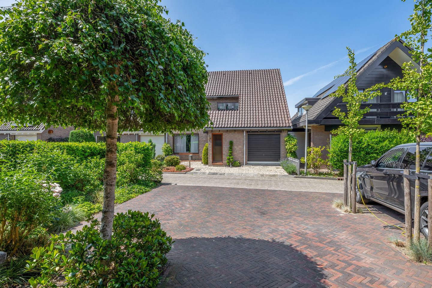 Foto 40 van Watersnip 61