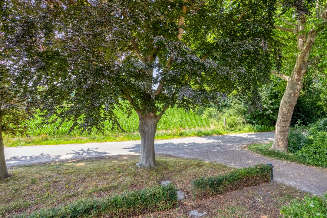 Foto 32 van Oud Laar 19