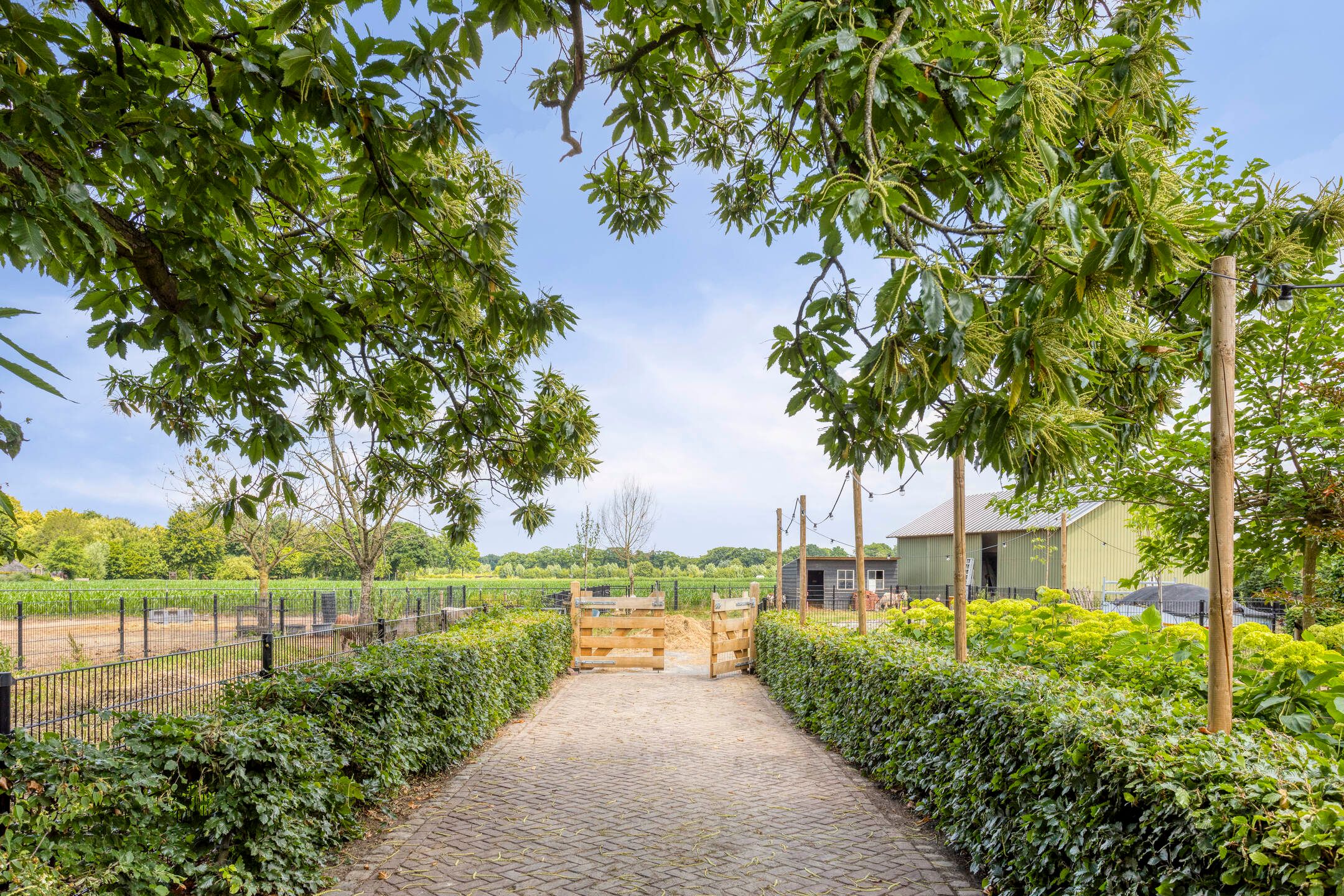 Foto 33 van Oud Laar 19