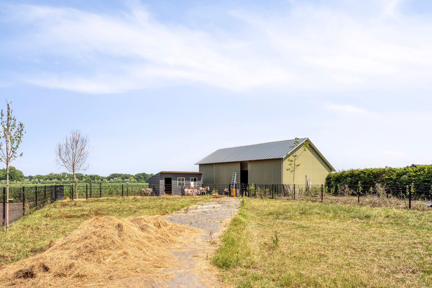 Foto 40 van Oud Laar 19