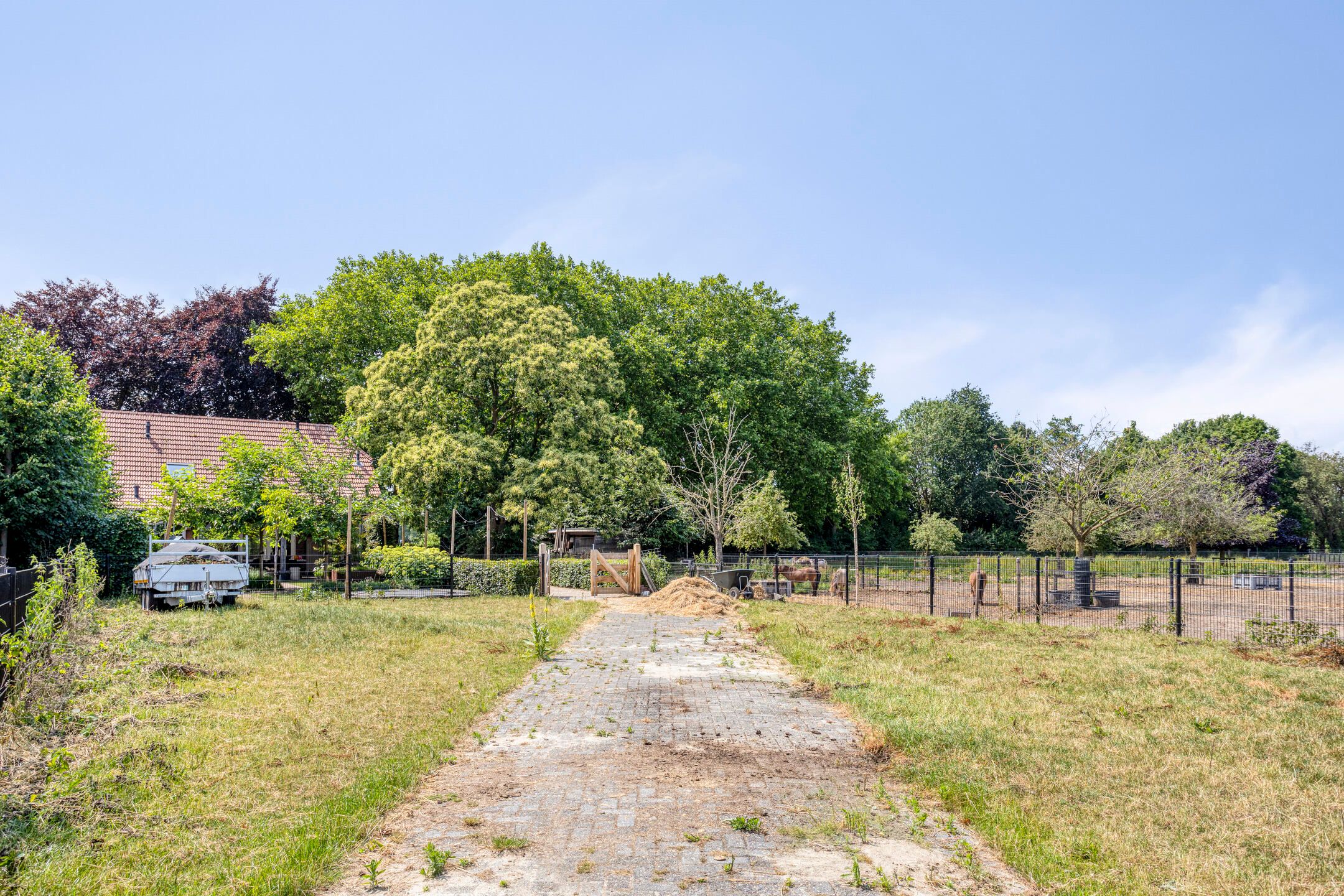 Foto 42 van Oud Laar 19