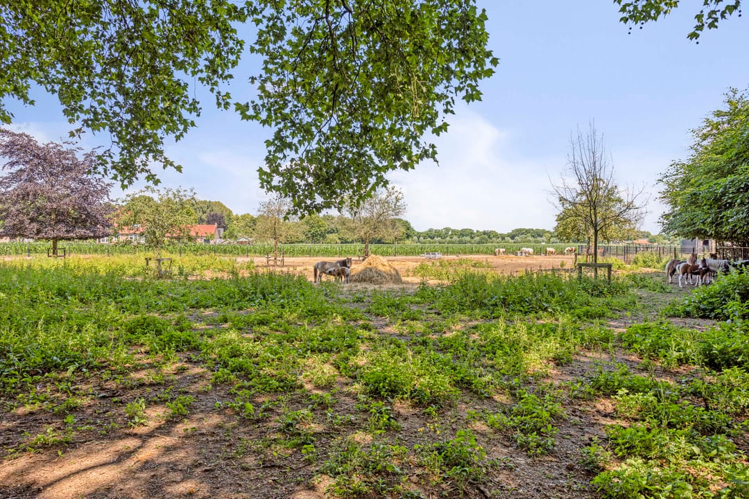 Foto 43 van Oud Laar 19