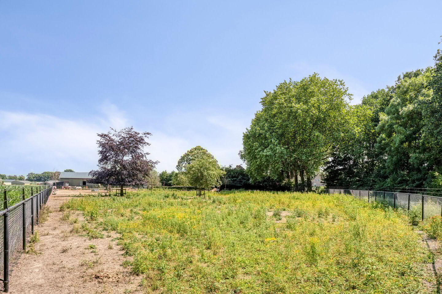 Foto 44 van Oud Laar 19