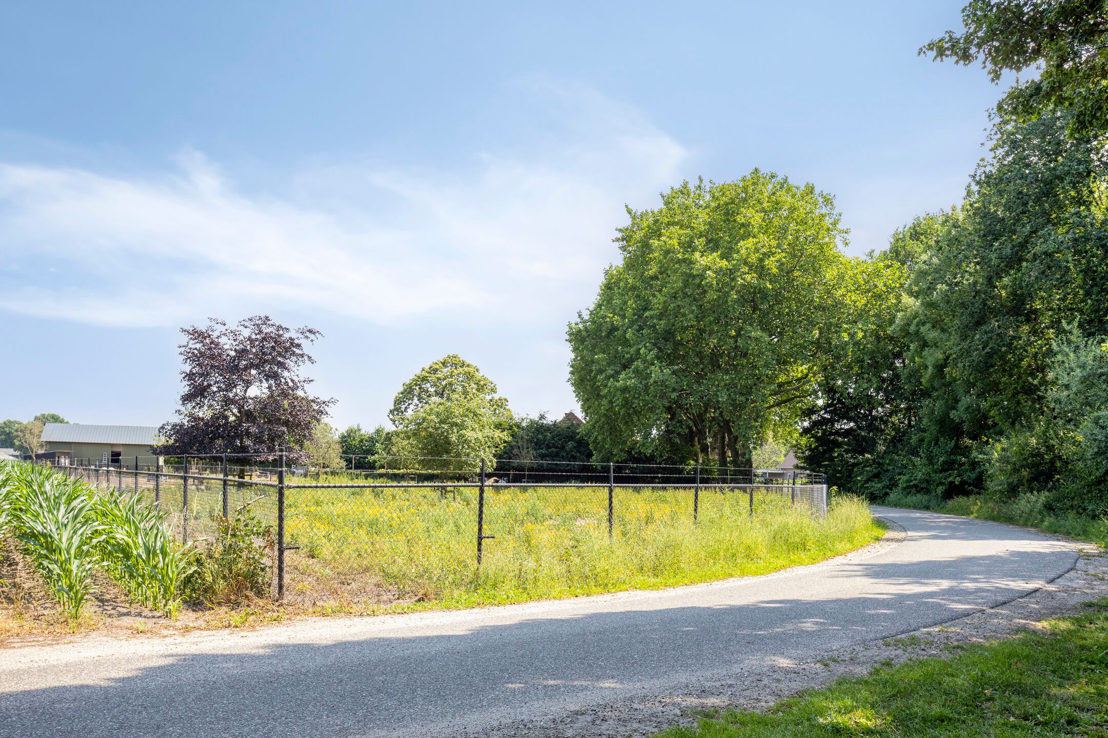 Foto 45 van Oud Laar 19