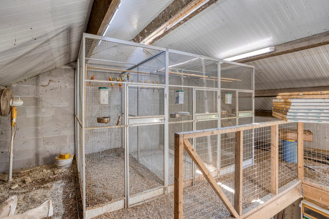 Foto 47 van Oud Laar 19