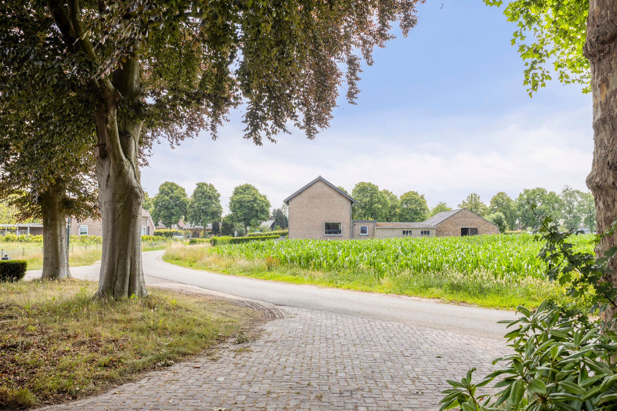 Foto 51 van Oud Laar 19