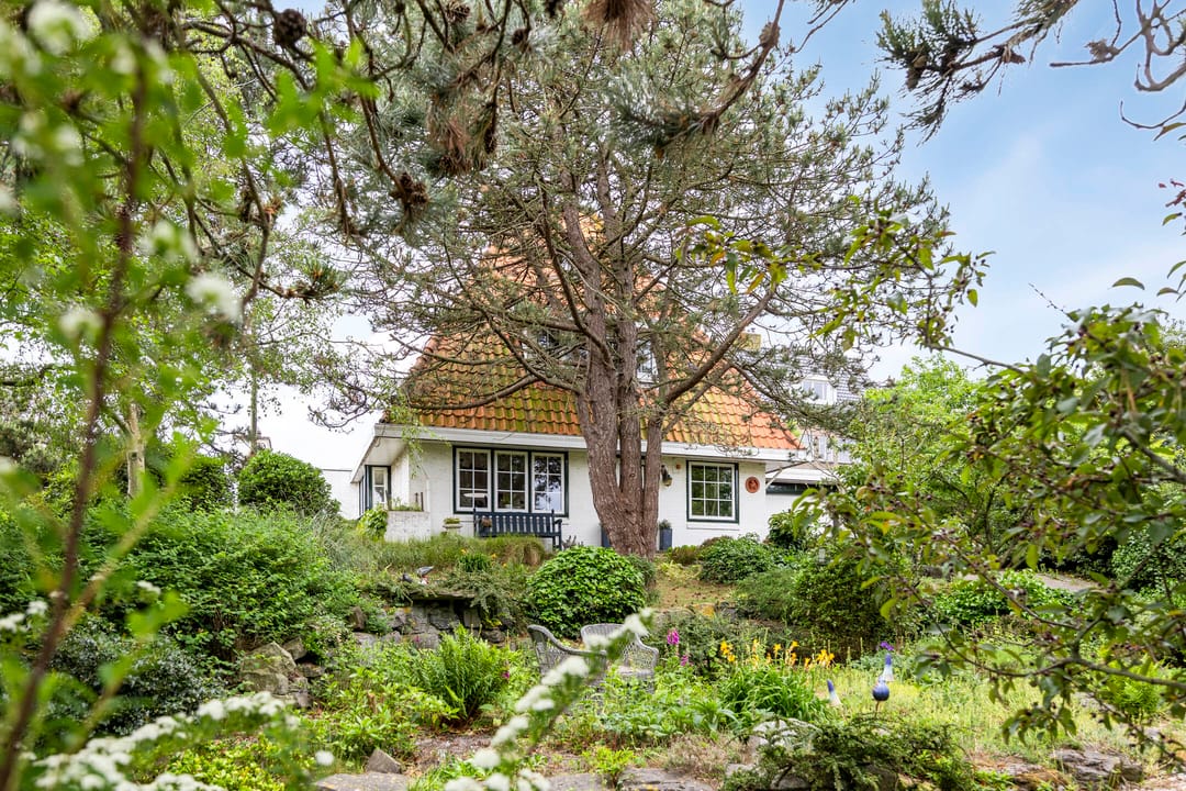 Foto 2 van Duinweg 24