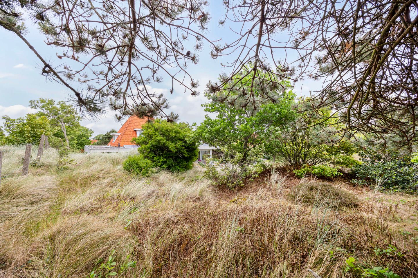 Foto 50 van Duinweg 24