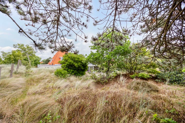 Foto 50 van Duinweg 24